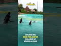 Wave Pool Buster Challenge Adipolympics At Wonderla Kochi