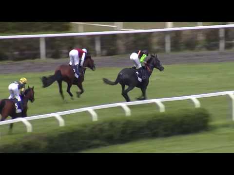 6. dostih - 98. VELKÁ JARNÍ CENA PRAŽSKÉ PLYNÁRENSKÉ - dostihy Velká Chuchle 11. 5. 2019