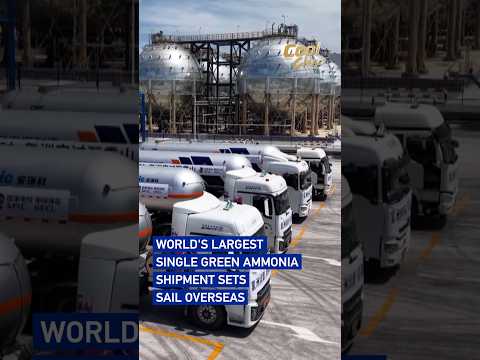 World's largest single green ammonia shipment sets sail overseas#cool china