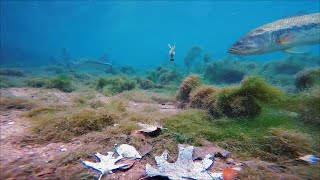 Headbanger jigová hlavička RockerHead X 4/0, 11g GP blistr 3ks