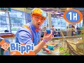 Blippi Visits A Children S Museum Glazer 1 HOUR OF BLIPPI TOYS Educational Videos For Kids