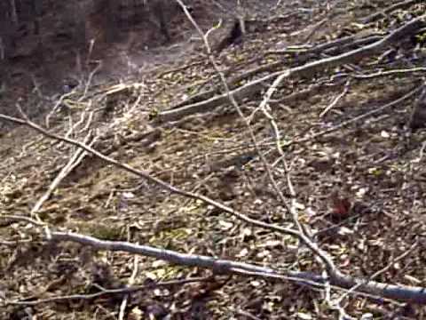 Defrisari Comuna Starchiojd, Sat Rotarea, Jud Prahova