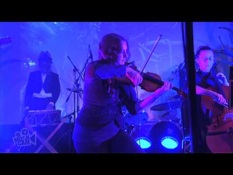 The Crooked Fiddle Band - What the Thunder Said (Live in Sydney) | Moshcam