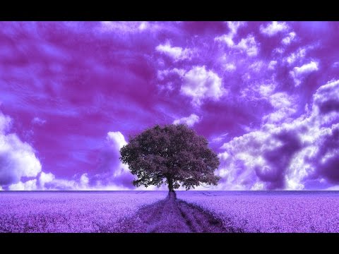 Pete Graham & Lorenzo - Marina Gasolina (808 Refix)