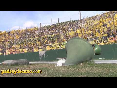 "Recibimiento - Hinchada Peñarol 5 vs Nacional 0" Barra: Barra Amsterdam • Club: Peñarol • País: Uruguay