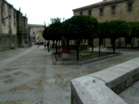 Monumentalidad de la Catedral de Plasencia, desde otra óptica (2010)