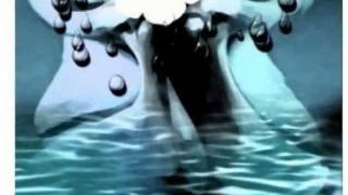 LUIS EDUARDO AUTE. Polvo enamorado....wmv