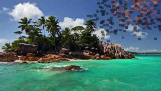 the Revivalists - sunny days