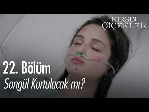 Songül kurtulacak mı? - Kırgın Çiçekler 22. Bölüm