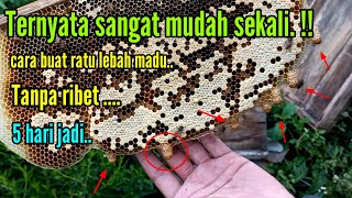 Download lagu cara membuat ratu lebah madu , untuk pecah koloni . #lebah @edukasilebahmadu mp3