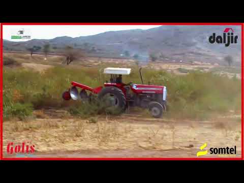 GABOGABO | TULI GUULEED: TOGGA FAAFANEED IlLAA JIDKA BOODHLEY (daawo)
