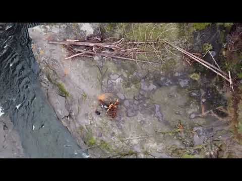 Top Bridge, Parksville B.C.