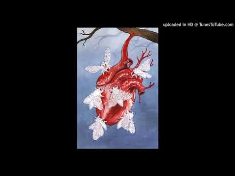 STONEDOGG - ICANTBFADED95