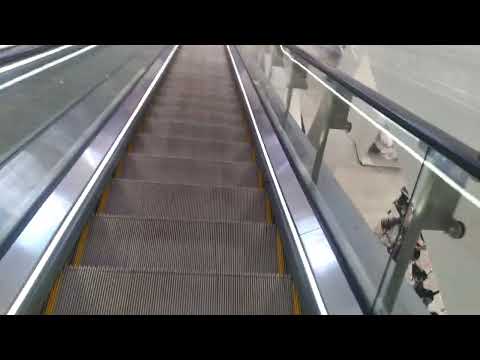 Escadas rolantes Schindler no H&M Dolphin Mall Sweetwater FL