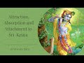 Attraction, Absorption & Attachment to Śrī Kṛṣṇa | Bhakti Sanga | Amarendra Dāsa