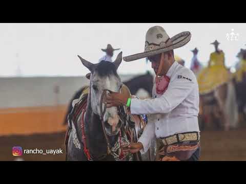 C18P1 EL CAMINO AL FUTURITY VIP - Jesús "Kíkiras" Castañeda y Antonio Díaz Paz