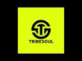 Tribesoul - Dipatje (feat. Nkulee501 & Skroef28)