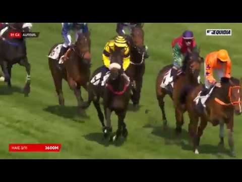 Saint Calvados - 2017 - PRIX VIRELAN - Auteuil