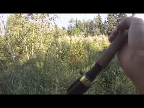 Kalassa Jarkon kanssa Lanskinjoella