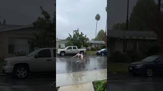 Mood ?️ / Eva Miller TikTok #evamiller #tiktok #shorts #video #trending #ytshorts #short