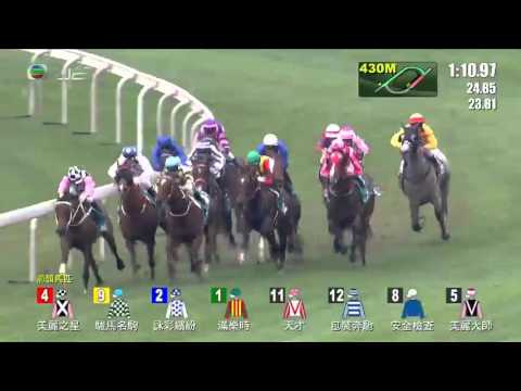 2016 Champion's Mile (International Group 1)