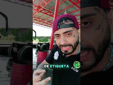 Conociendo más de la Pasión ENCAVA por San Felipe Edo. Yaracuy VENEZUELA 🇻🇪🎥🎬 Lo Mejor de Lo Mejor🇻🇪