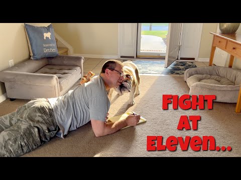 Reuben the Bulldog: Behind the News