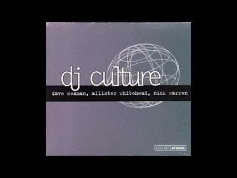 Dave Seaman, Allister Whitehead, Nick Warren – DJ Culture 2