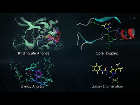 An Introduction to the Schrödinger Suites