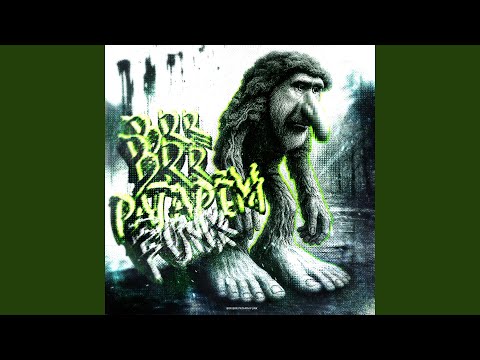 Brr Brr Patapim Funk