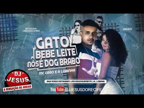 MC CASO E A LOBINHA - GATO BEBE LEITE, NÓS É DOG BRABO - MÚSICA NOVA - LANÇAMENTO - DJ JESUS