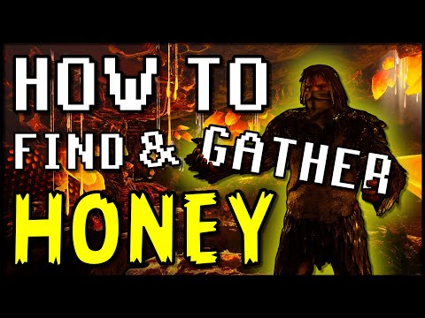 How To Find & Gather Honey - ARK: Survival Evolved | PC | PS | Xbox #ark #howtogethoney