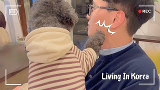韓国人の夫が“日本の実家”に帰るとこうなります。【🇰🇷韓国生活vlog】