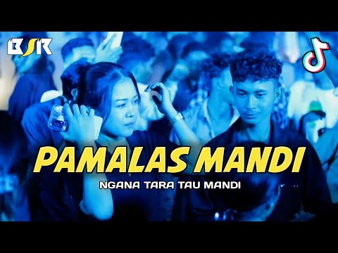 PAMALAS MANDI - LAGU JOGET TERBARU -_Papa Adung_- REMIX