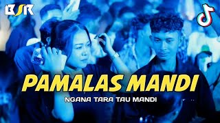 Download lagu PAMALAS MANDI - LAGU JOGET TERBARU -_Papa Adung_- REMIX mp3 Download lagu PAMALAS MANDI - LAGU JOGET TERBARU -_Papa Adung_- REMIX mp3
