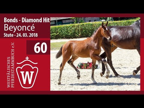 060 Beyoncé  SF v. Bonds - Diamond Hit