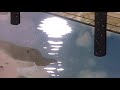 God Is A Woman Ariana Grande Slowed N Reverb