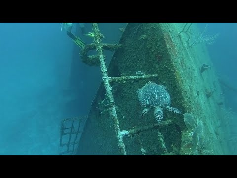 Scuba diving Odyssey wreck in Roatan