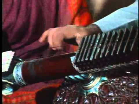 Zia Mohiuddin Dagar, Raja Chhatrapati Singh - Rudravina and Pakawaj Raga Suddhatodi, Chautal