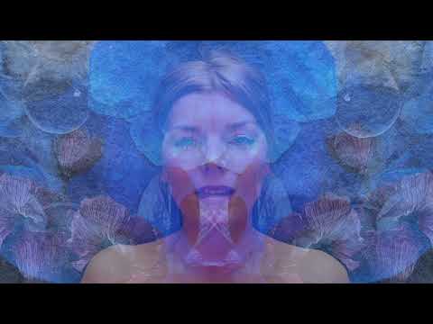 Our Broken Garden - Fallen (Visualiser)