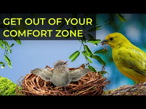 amoolya narayan yours Wisely - spread your wings