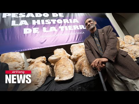 40-million-year-old whale may have been heaviest animal on Earth