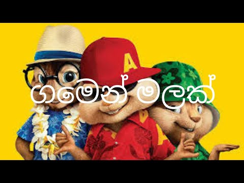 Gamen Malak (ගමෙන් මලක්) alvin version