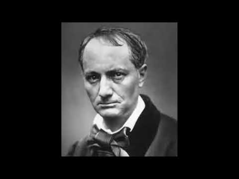 Charles Baudelaire Albatros