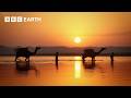 An EPIC Journey Through The Ganges BBC Earth