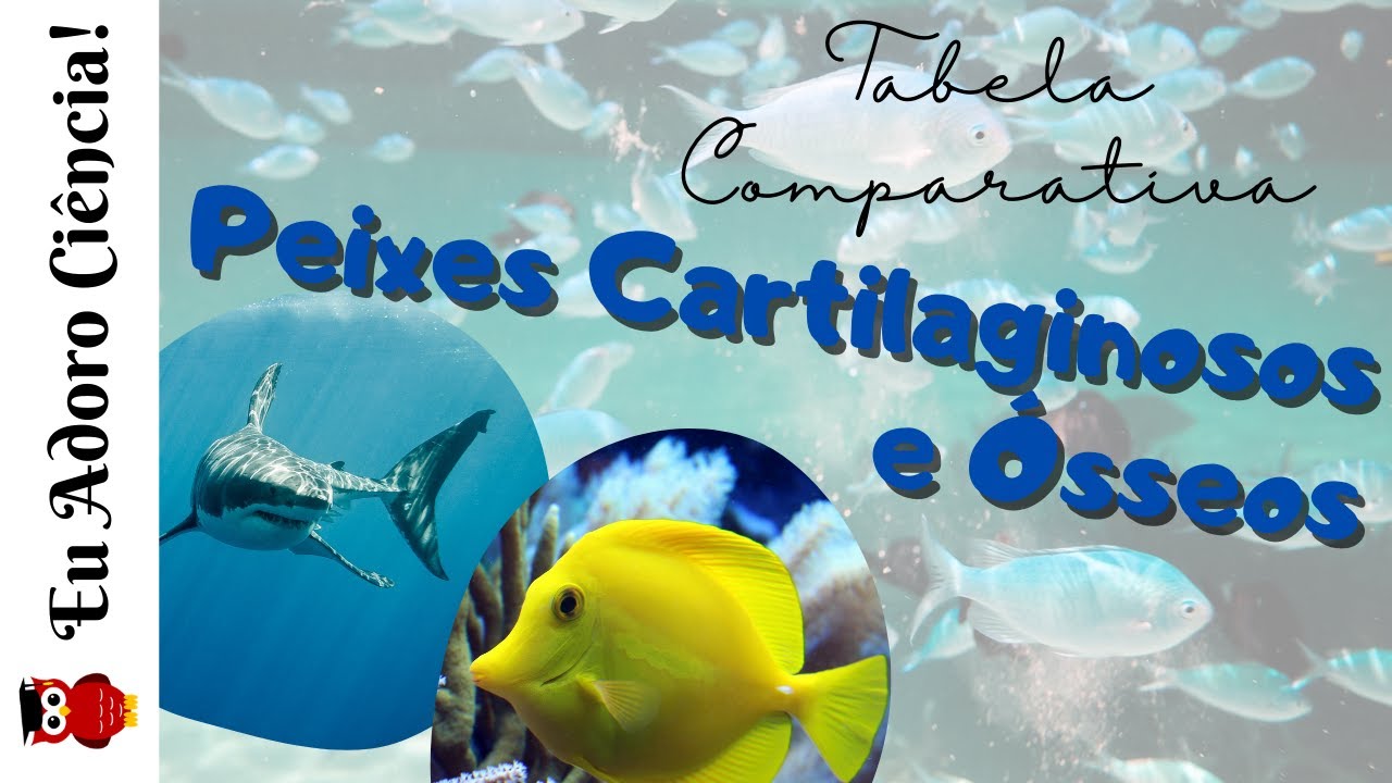 Tabela Comparativa entre Peixes Cartilaginosos e Peixes Ósseos