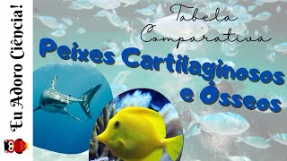 Tabela Comparativa entre Peixes Cartilaginosos e Peixes Ósseos