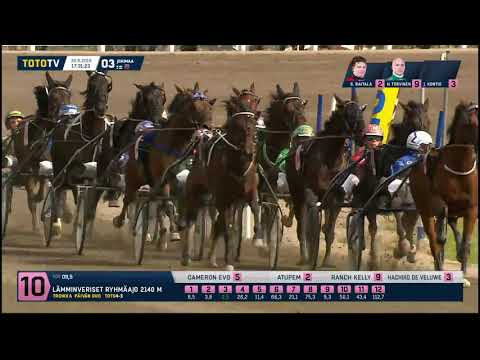 Lämminveristen Suur-Hollola Ajo 2019 - Hachiko De Veluwe