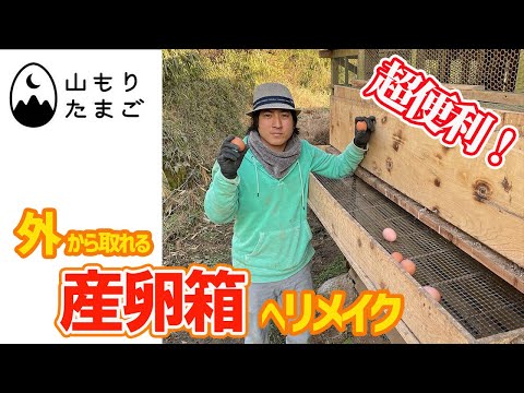 産卵鶏用の小麦を発芽させるにはどうすればよいですか？利点は何ですか?  庭園