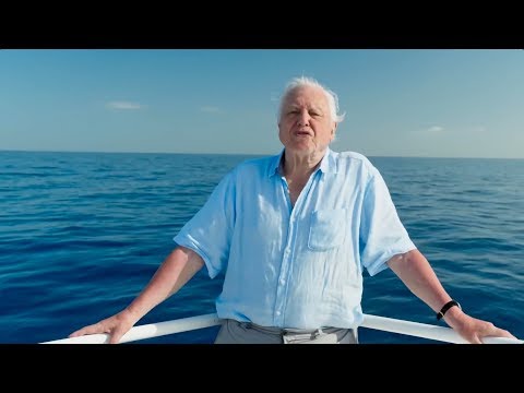 The Migration of the Skeptic (2018)